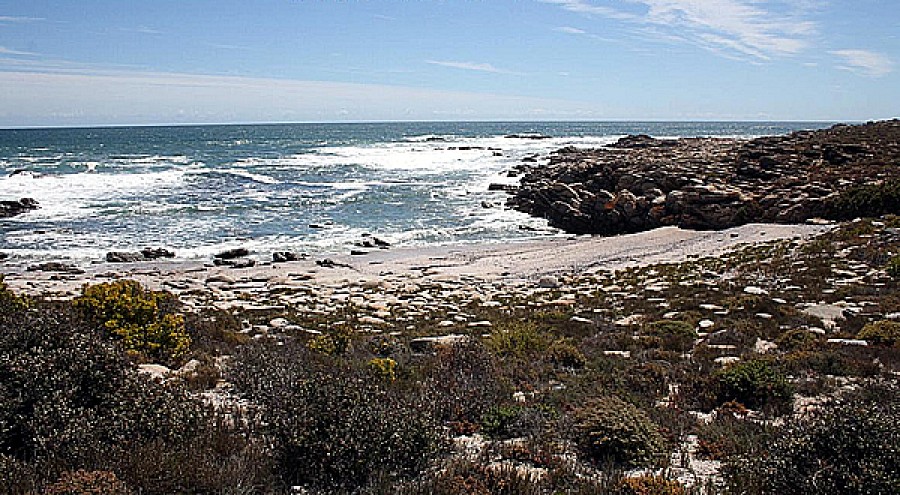 Namaqua National Park camping : Camping-Site in Namaqualand