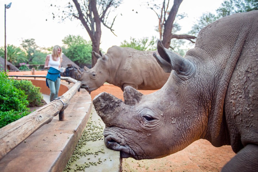 Omaruru Game Lodge: Lodge In Omaruru