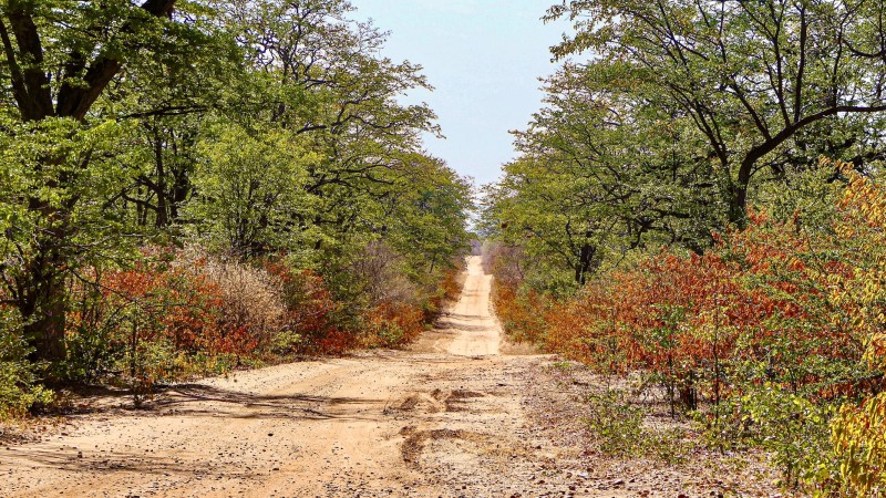 Mana Pools