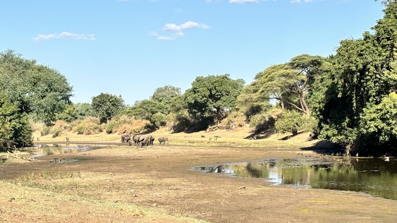 Lower Zambezi