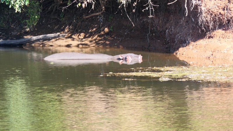 Lower Zambezi