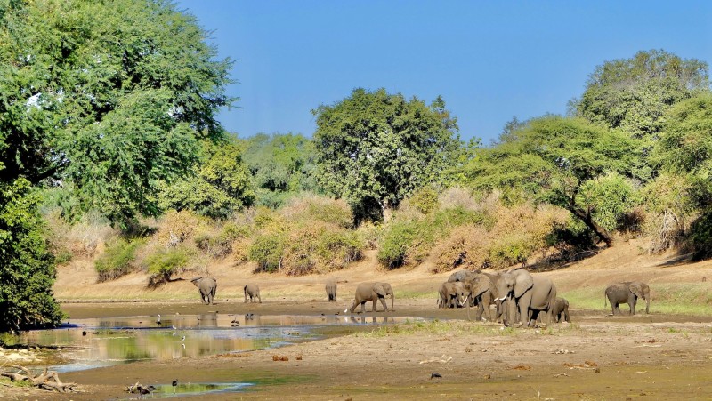 Lower Zambezi