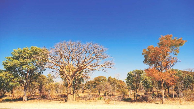 Okavango Rundu