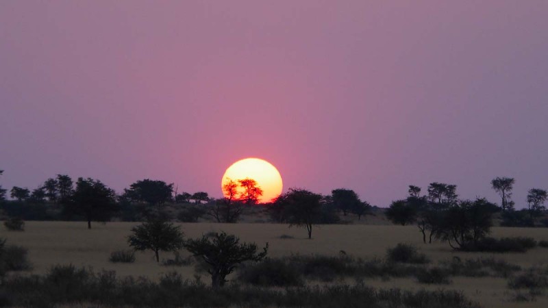 Kalahari East